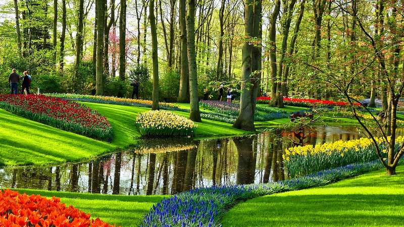 Image result for flowers in garden pictures