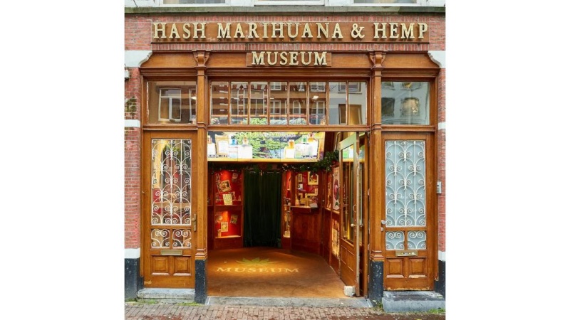 Hemp Sneakers - Hash Marihuana & Hemp Museum