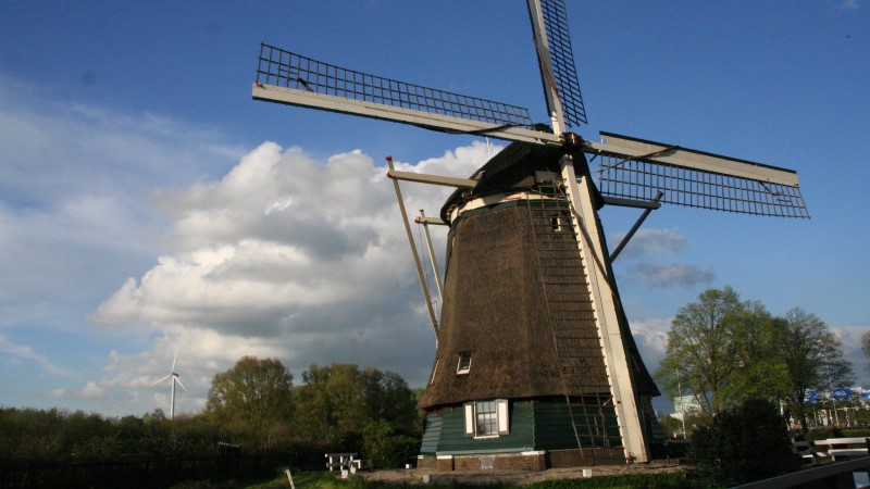 Amsterdam Windmill 1200 Roe 800x450 